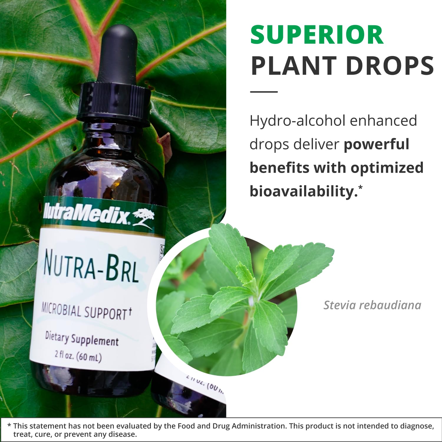 NutraMedix Nutra-BRL banderilla bark focus illustrating botanical blend for immune support