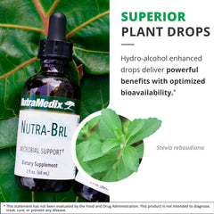NutraMedix Nutra-BRL banderilla bark focus illustrating botanical blend for immune support