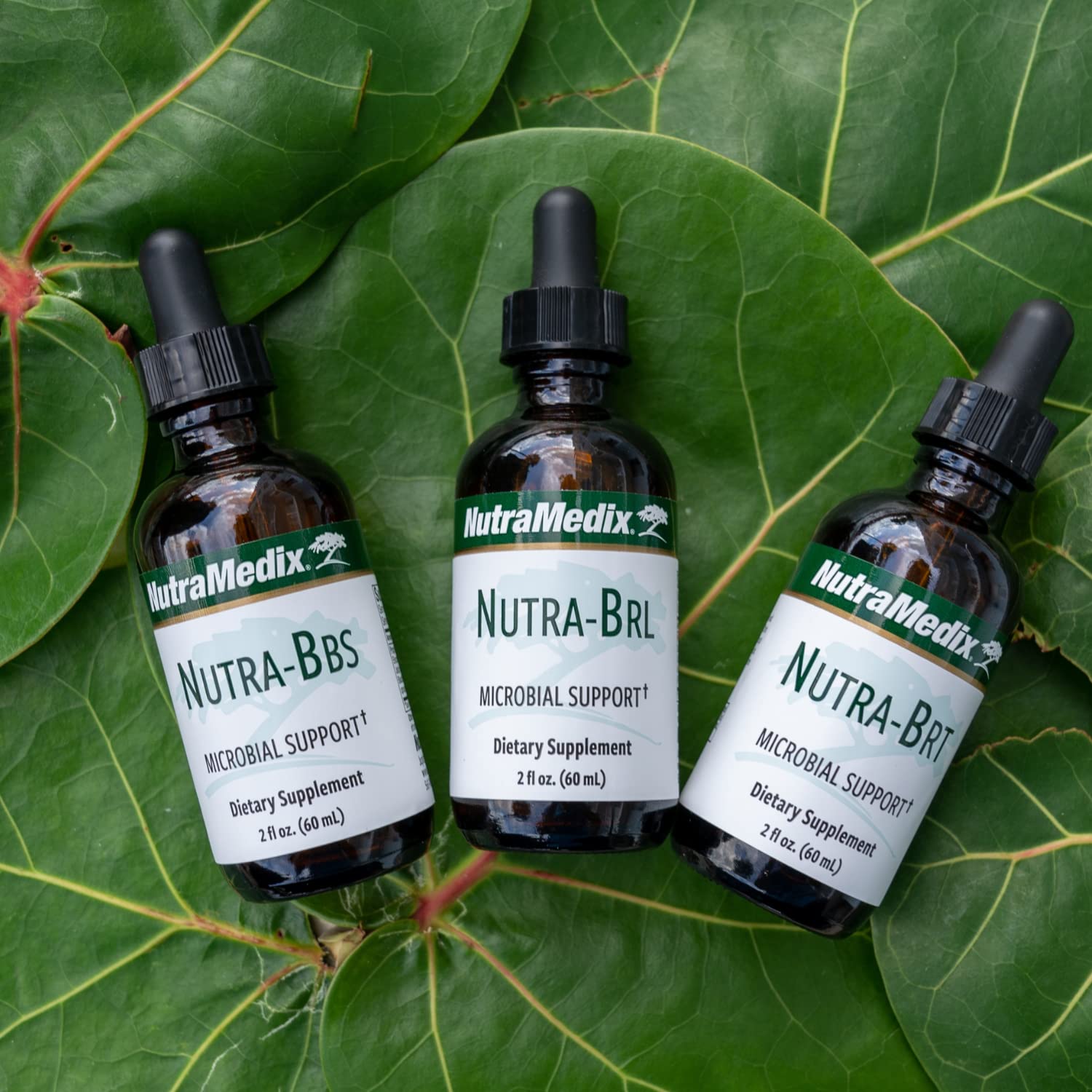 Nutramedix Nutra BRT family-use daily supplement concept.