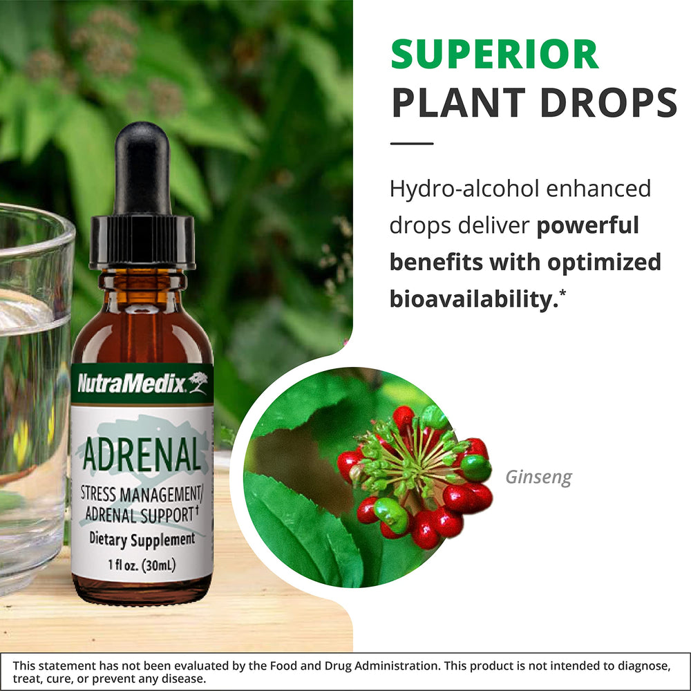 Schisandra fruit image illustrating holistic blend components for heart and lungs.
