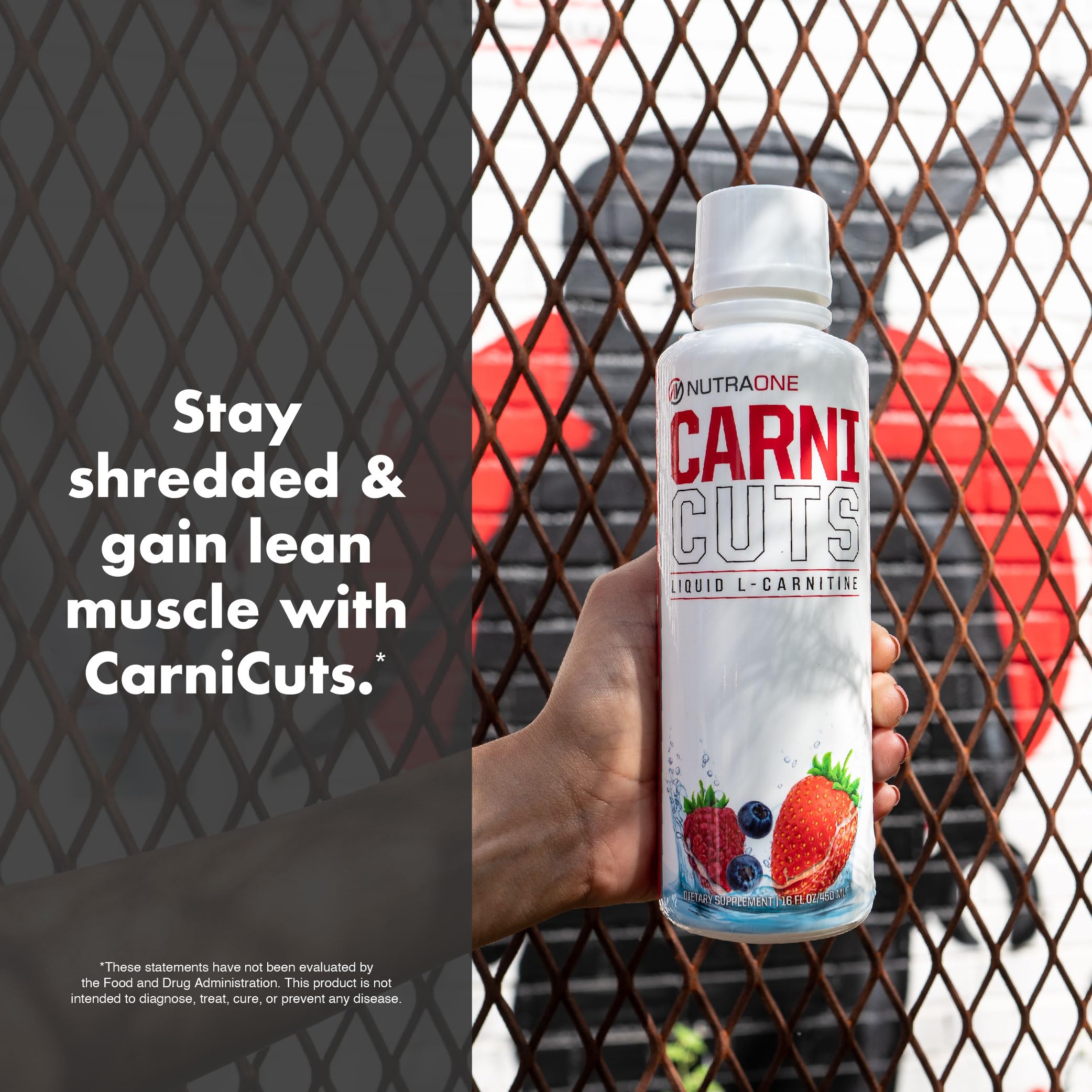 NutraOne Carnicuts ingredients panel notes 1500 mg L-Carnitine per serving
