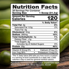 Nutrasumma vanilla pea protein shake demonstrates quick energy boost with dairy-free protein.