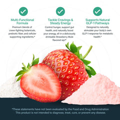 Nutratology GLP-1 Booster gut fiber prebiotic blend close-up