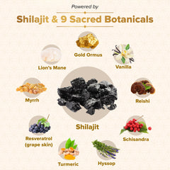 Nutraville Genesis Revival capsules beside a glass signaling daily vitality and focus.