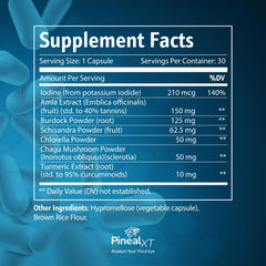 Close-up of Nutraville Pineal XT Gold pills highlighting focus potential