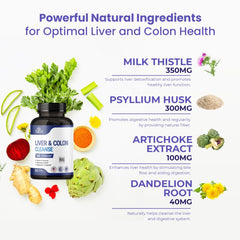 Nutreb vegan capsules close-up with clean, GMO-free ingredients.