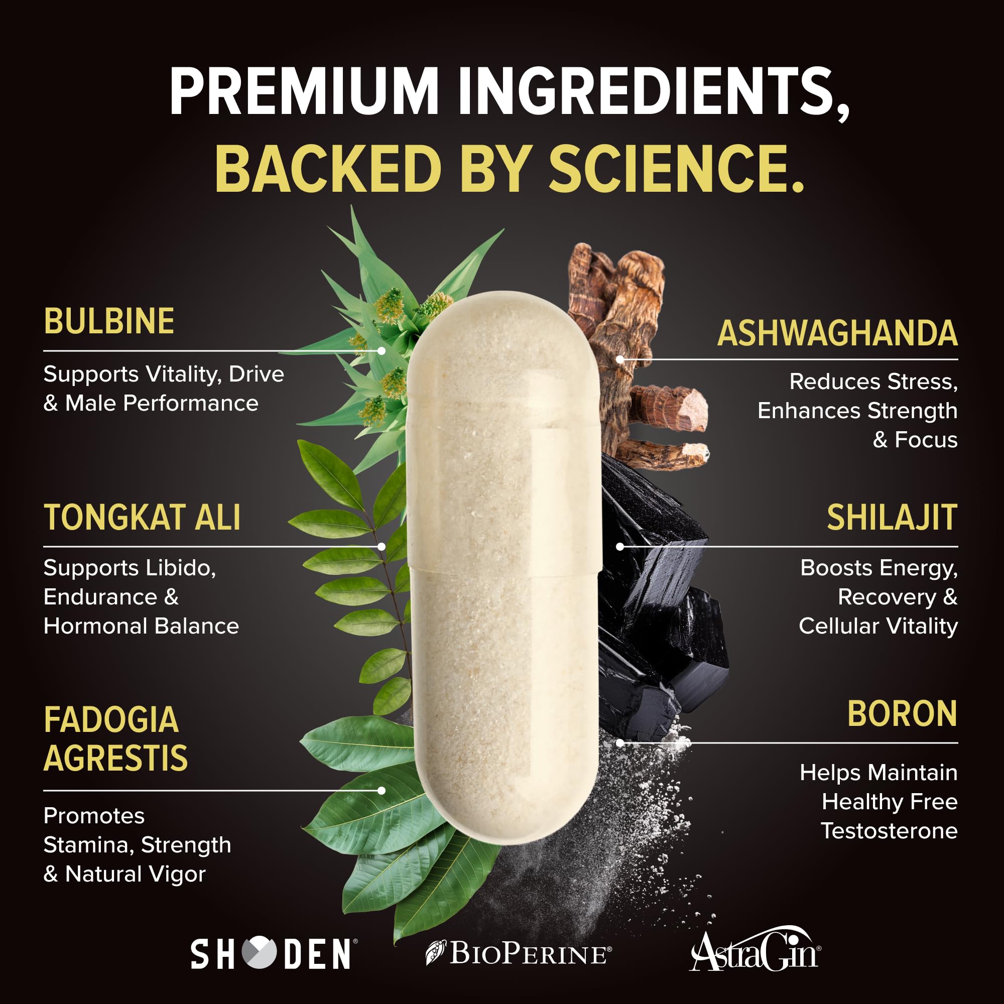 Nutrex Alpha-T Magnum capsules; convenient daily energy and recovery