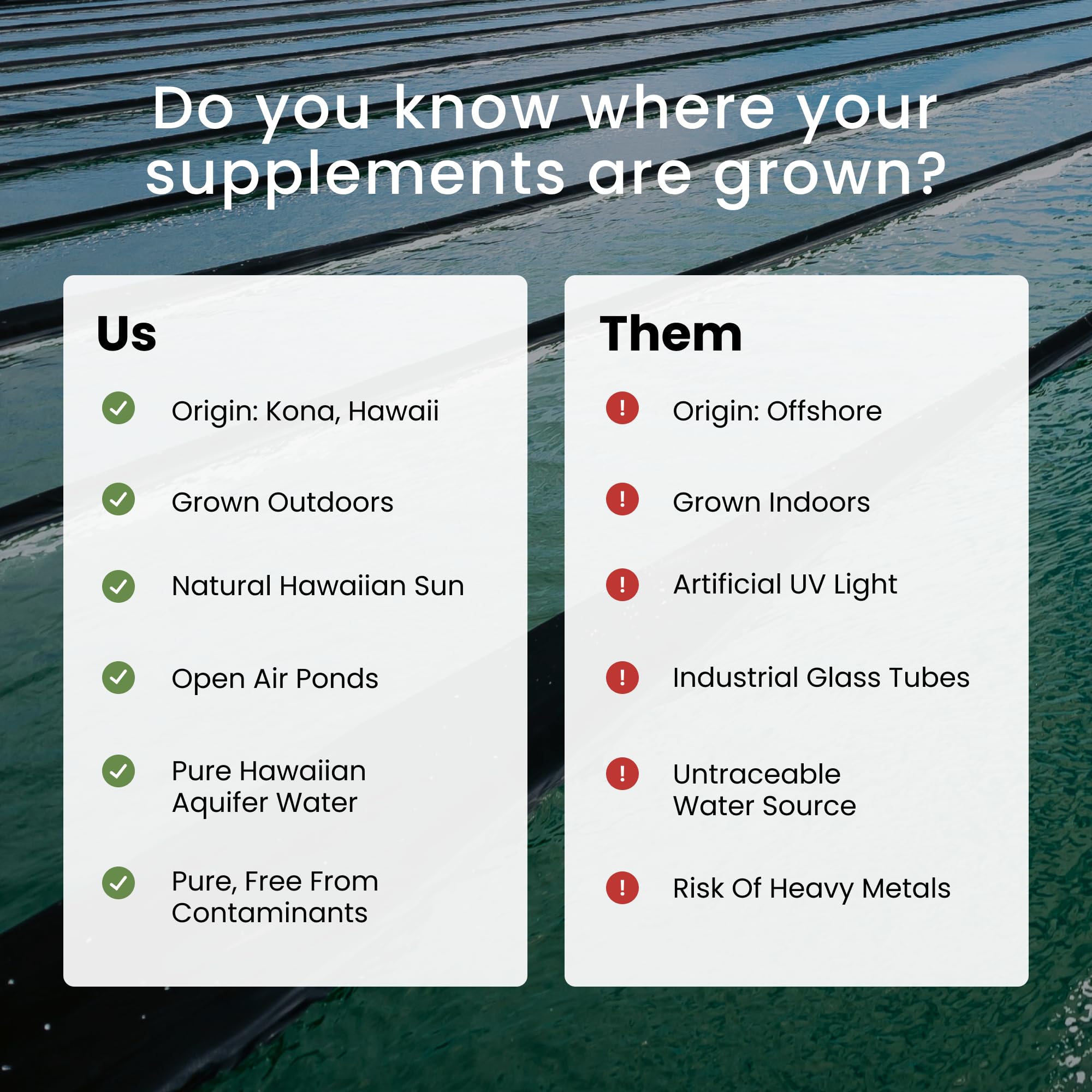 Nutrex Bioastin Astaxanthin Gummies in hand, convenient daily chew