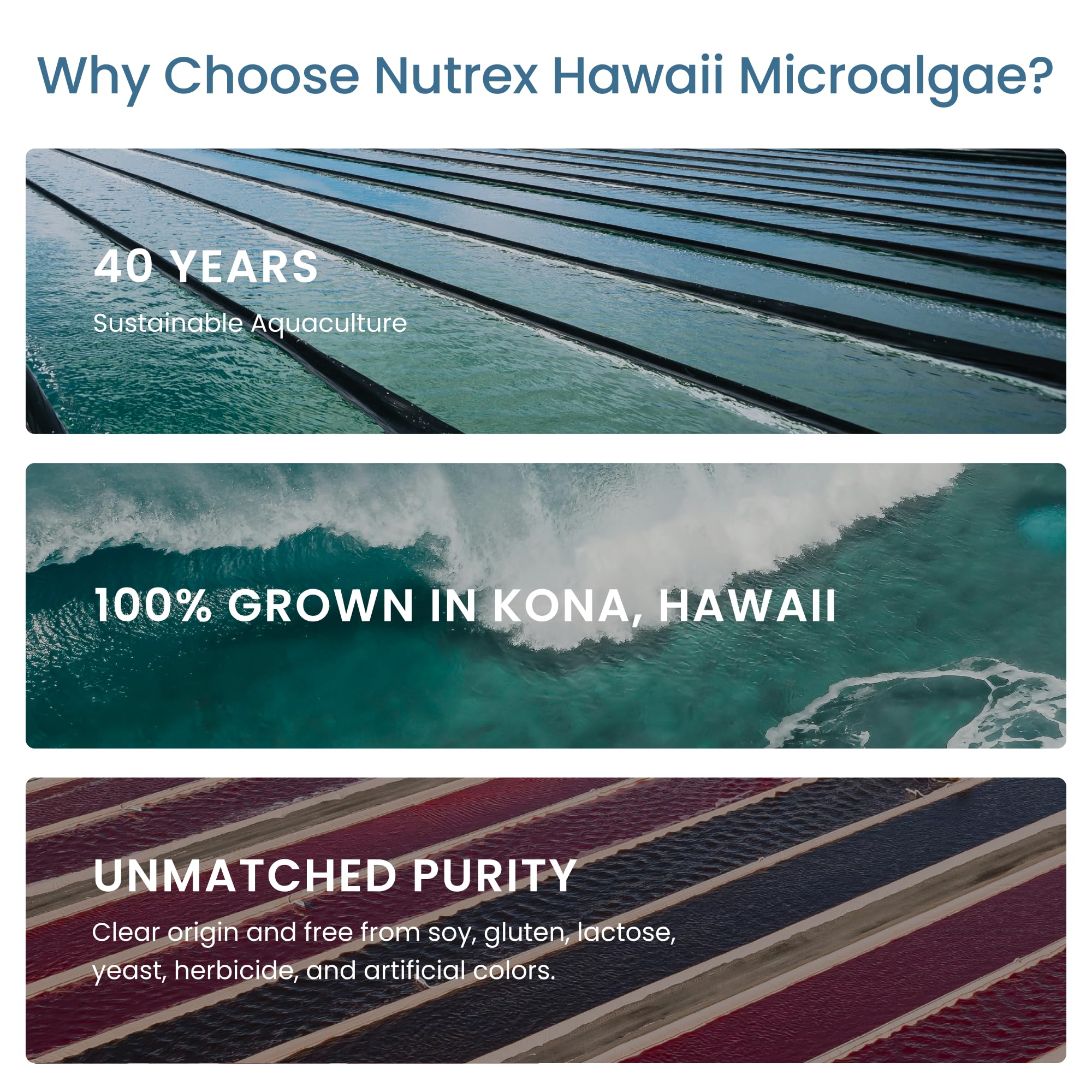 Nutrex Hawaii Pure Hawaiian Spirulina in hand – easy daily dose.