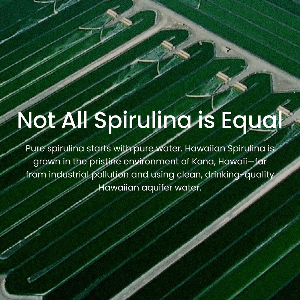 Nutrex Hawaii Spirulina Superfood powder in a bowl for versatile kitchen uses