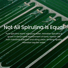 Nutrex Hawaii Spirulina Superfood powder in a bowl for versatile kitchen uses