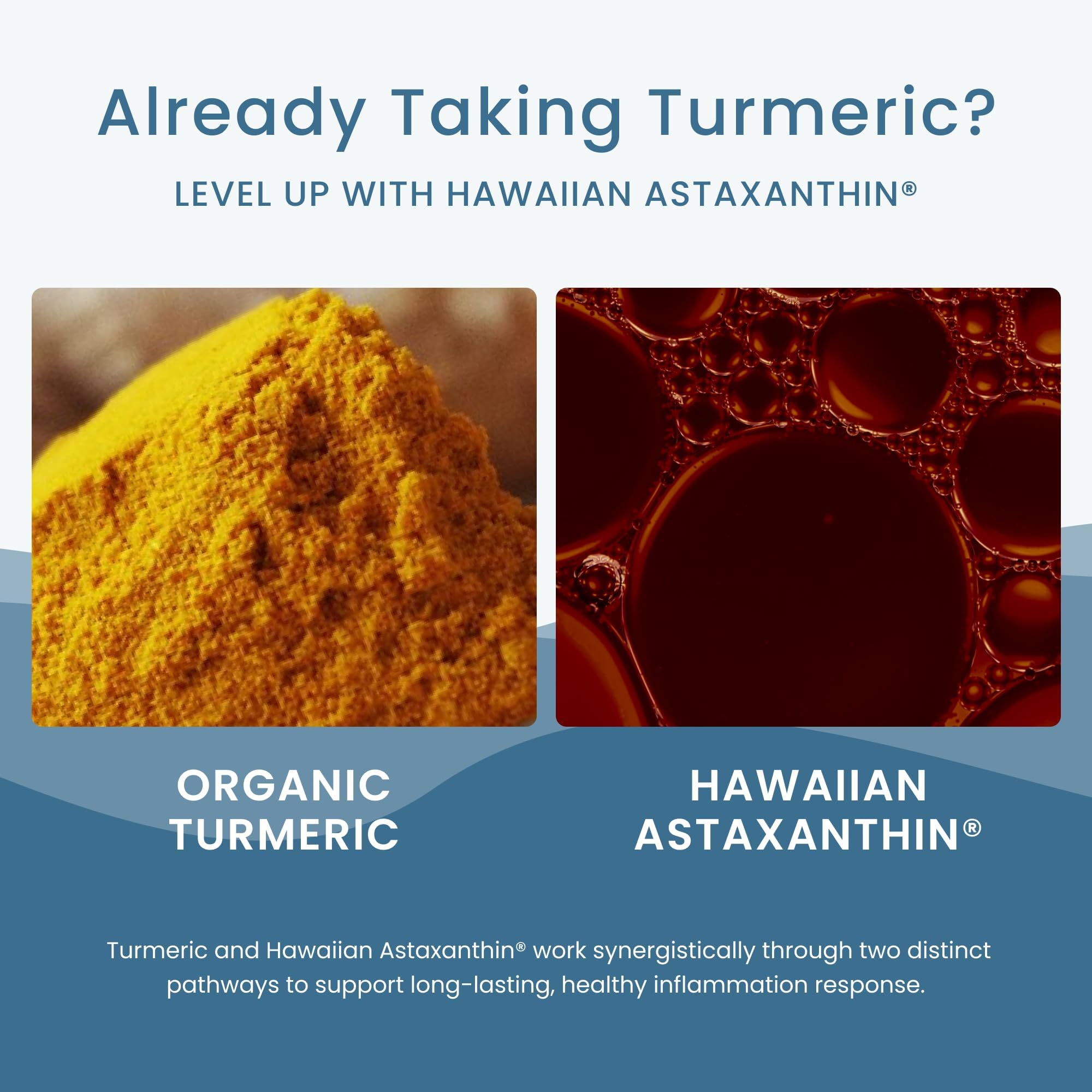 Nutrex Hawaii TurmericAstin BioAstin badge on packaging signaling antioxidant potential.