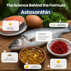 Nutri11 MEG-3 fish oil label highlights purity and sustainability.