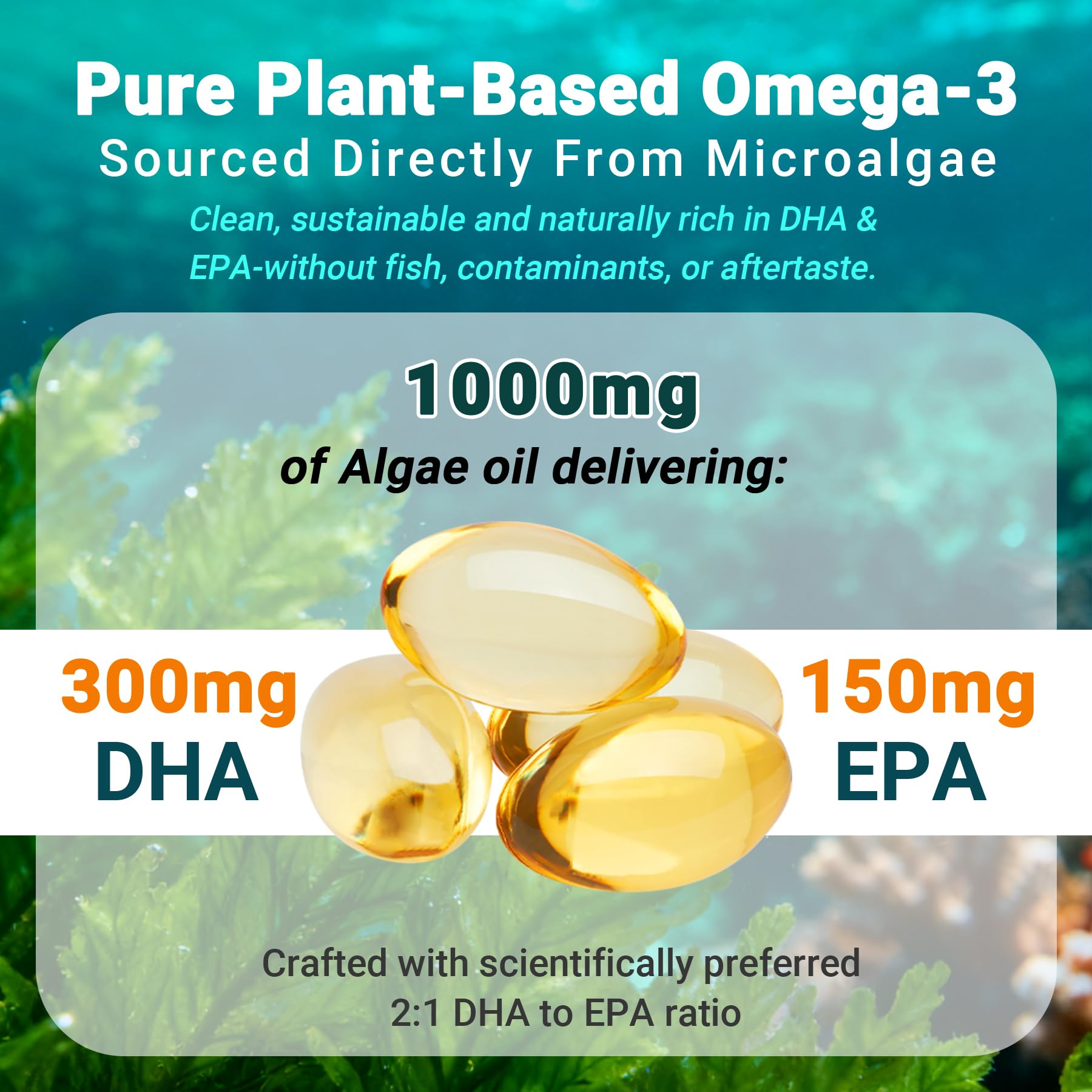 Nutribota fish-free algae oil packaging showing eco-friendly branding and sustainable sourcing