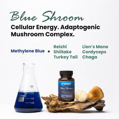 Nutricel Chaga mushroom extract capsule conveys wellness during the day