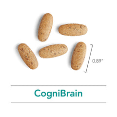 Nutricology Cognibrain capsules in a vial on a desk for daily use