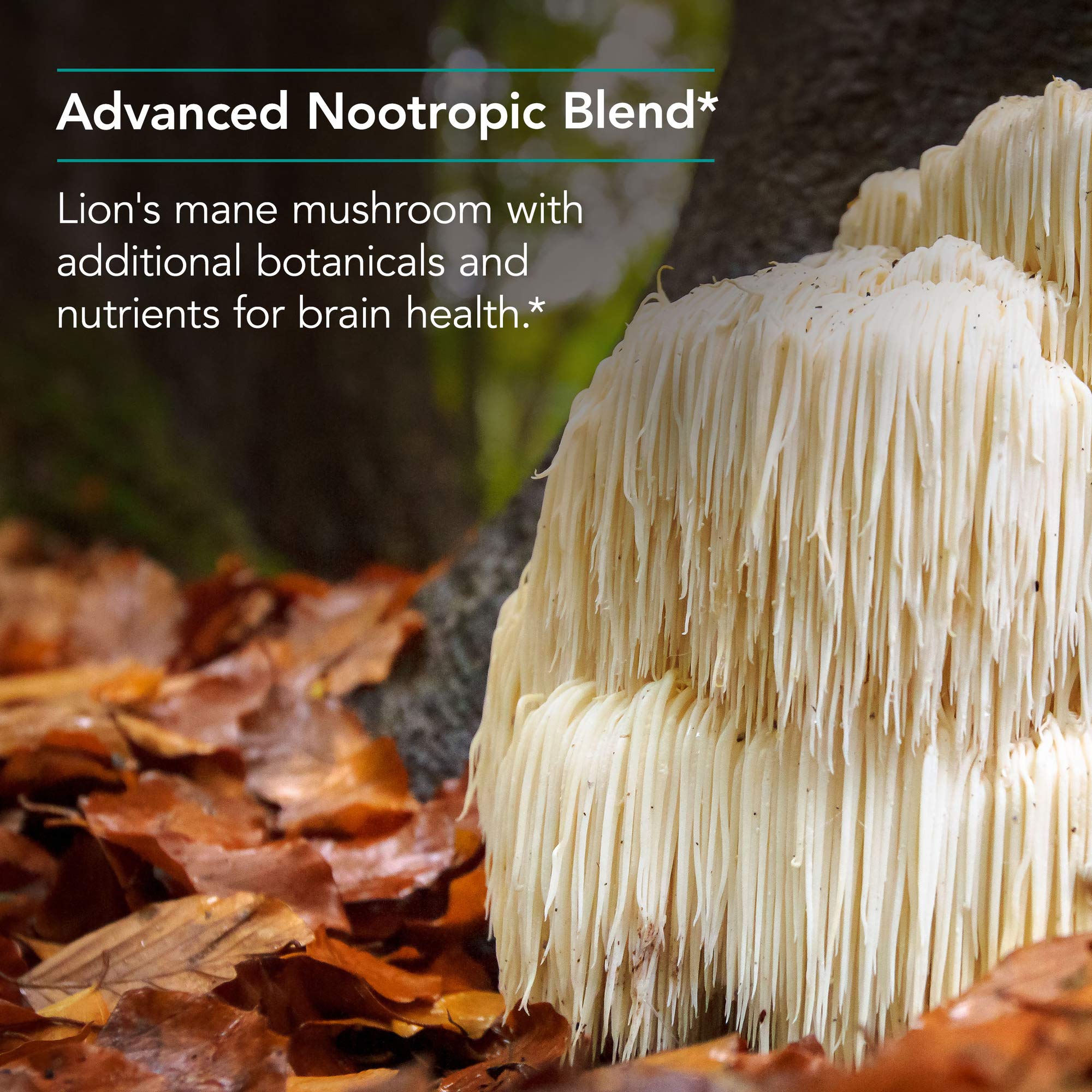 Nutricology Cognibrain ingredients chart with Neumentix, Citicoline, and Lion's Mane highlights
