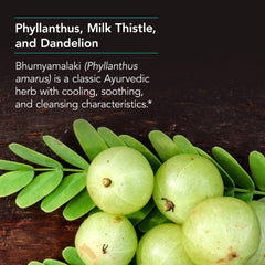 Packaging label of Nutricology Phyllantus Complex emphasizing quality ingredients.