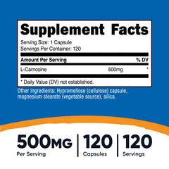 Closeup of Nutricost L-Carnosine capsules for easy dosing.
