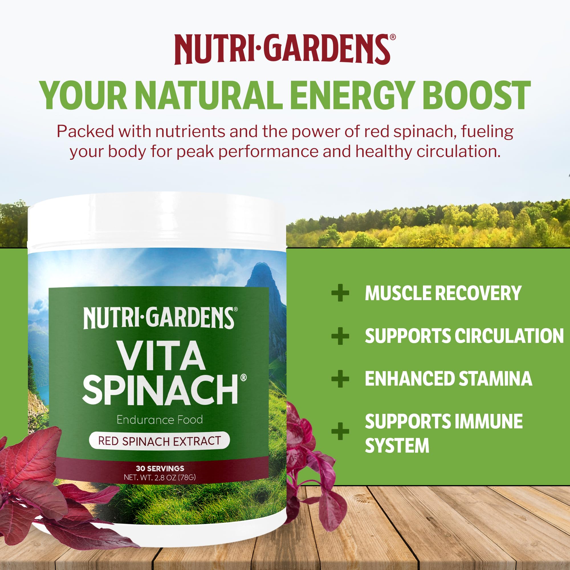 Nutrigardens VitaSpinach in kitchen scene illustrates pure spinach power.