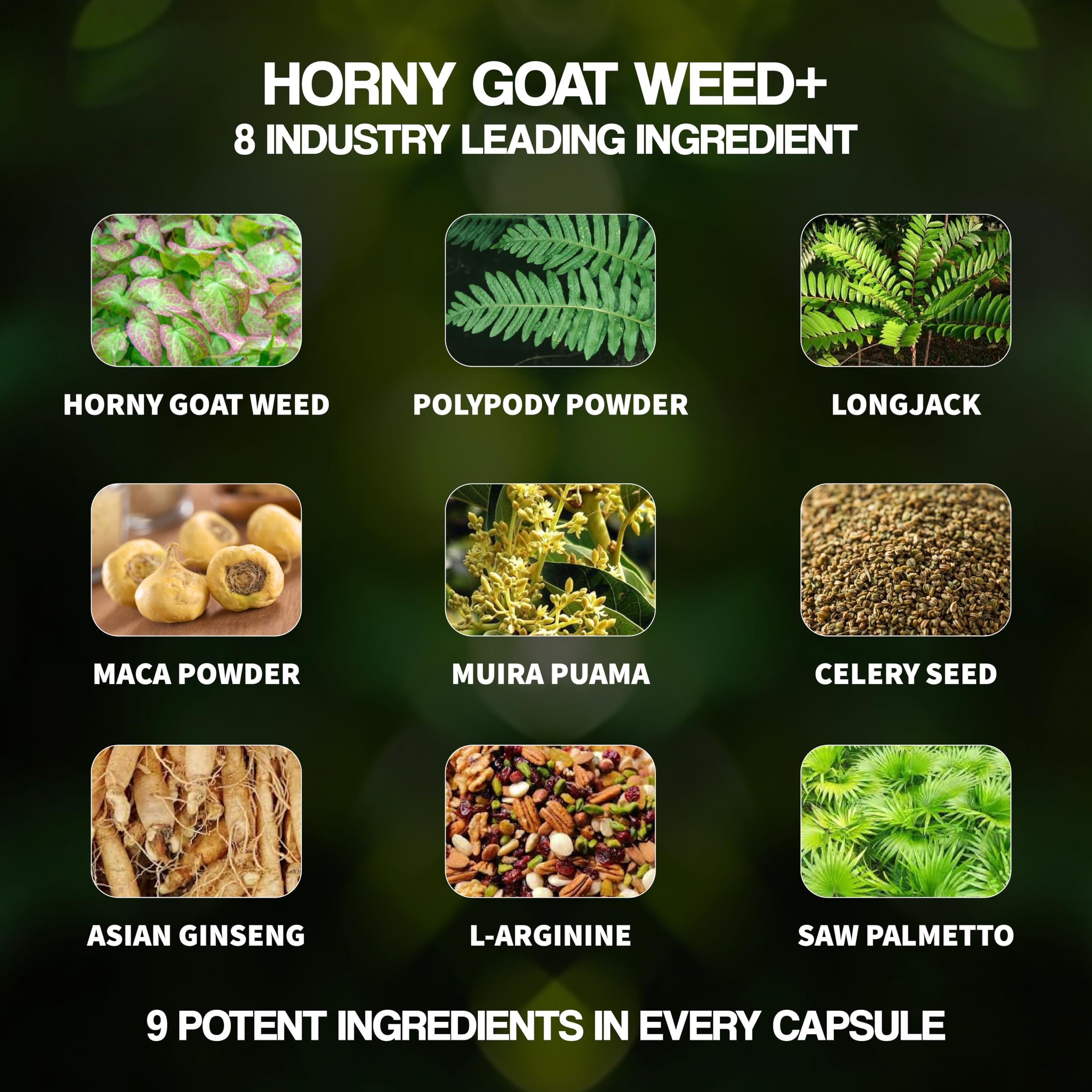 Nutrimend IQ Male Boost Ultra lifestyle shot highlighting workouts and daily activity.
