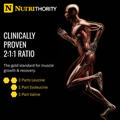 Nutrithority BCAA Powder mixing glass with water, quick post-workout hydration