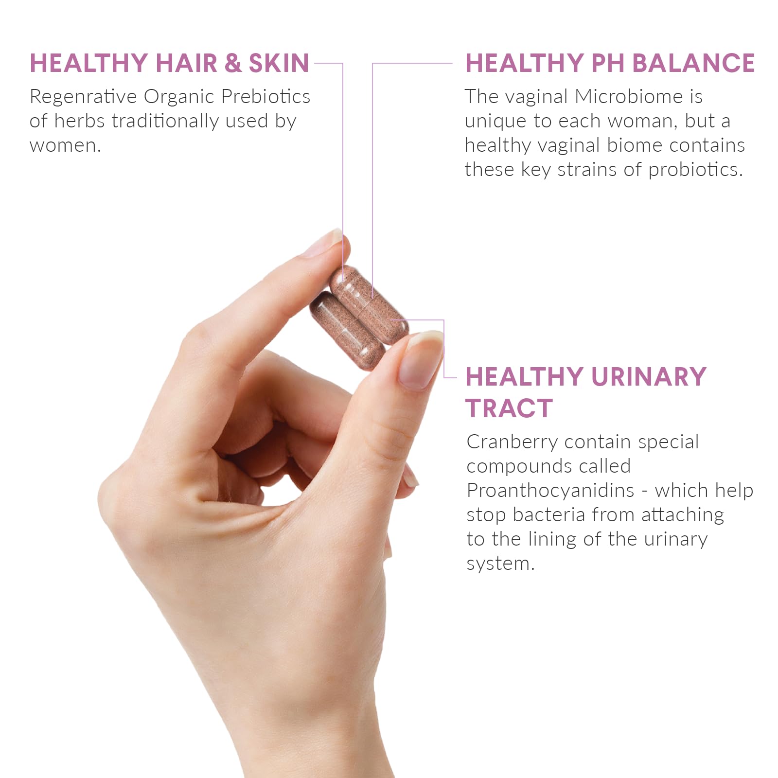 Nutritional Roots cranberry extract image; supports urinary tract health.