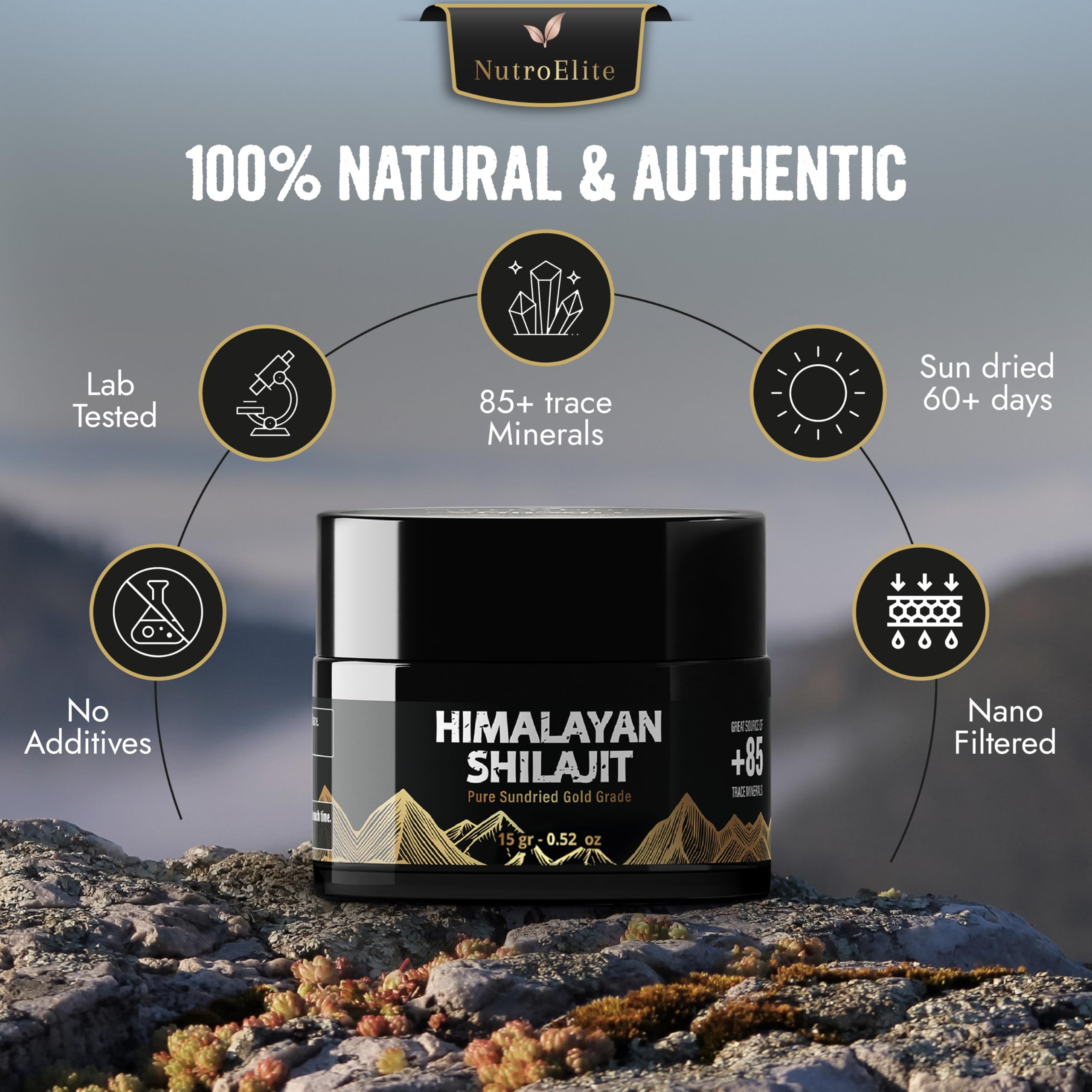 NutroElite Shilajit resin close-up highlighting mineral richness for energy