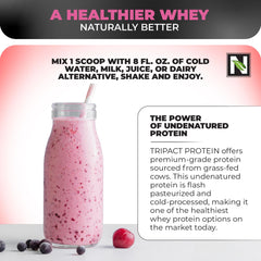 Nutrology TRIPACT protein powder tub green blend close-up highlighting greens and textures.