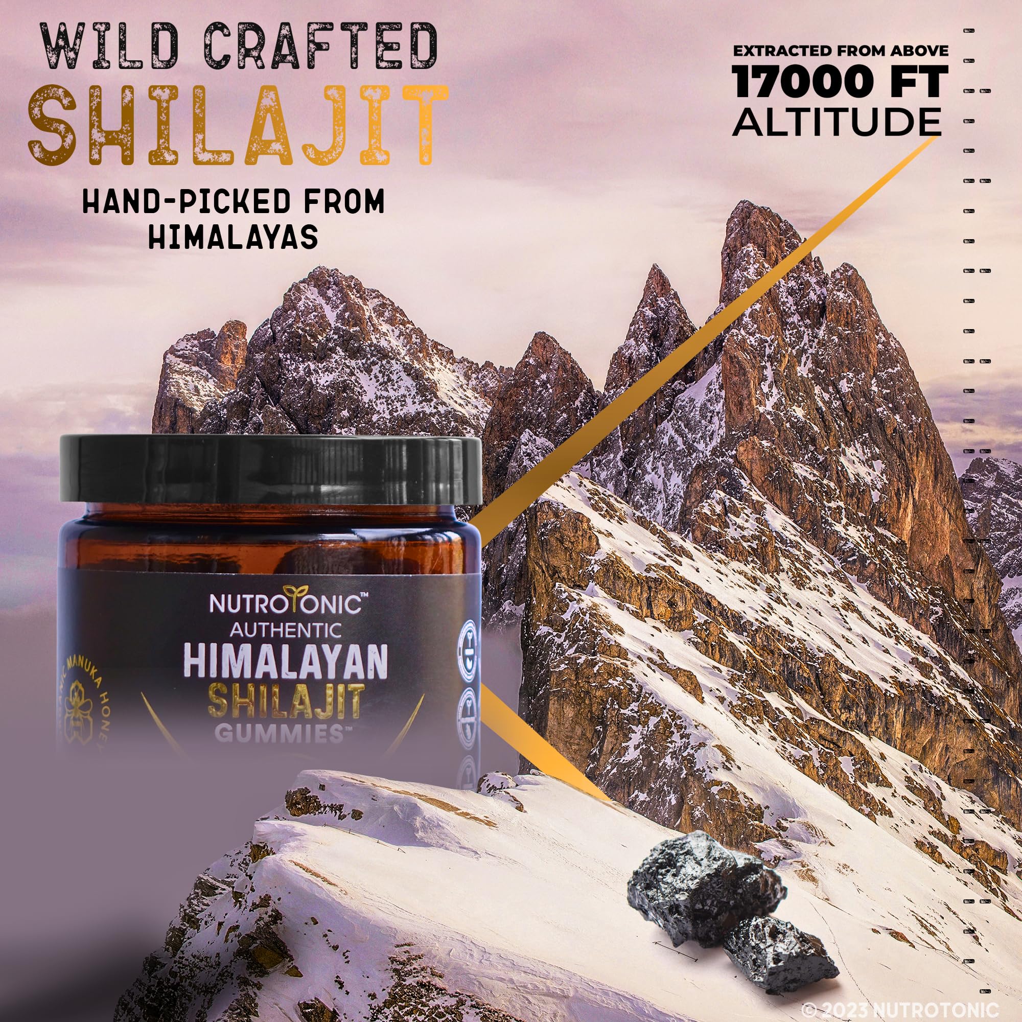 NutroTonic organic Manuka honey sweetness visual