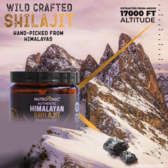 NutroTonic organic Manuka honey sweetness visual