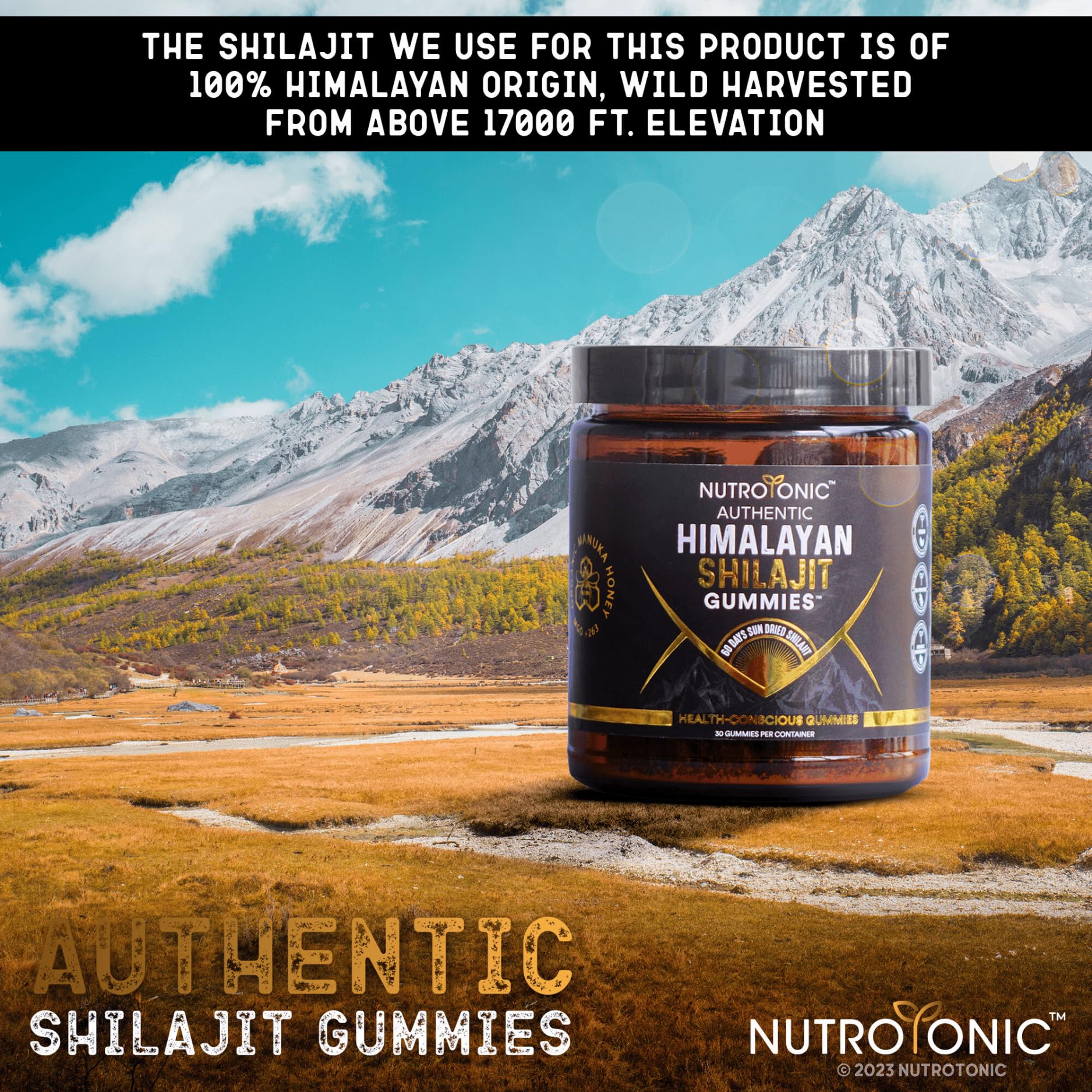 NutroTonic Shilajit Gummies cane sugar-free sweetness without compromise