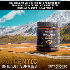 NutroTonic Shilajit Gummies cane sugar-free sweetness without compromise