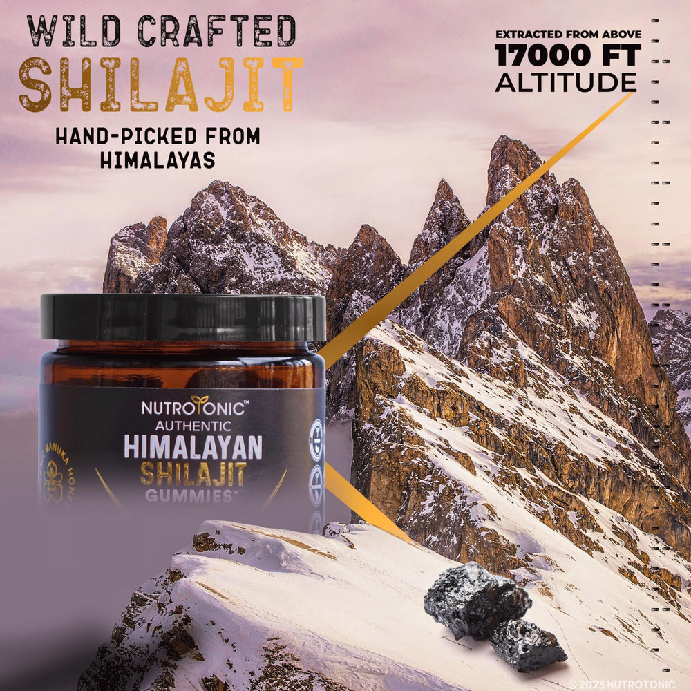 NutroTonic Shilajit Gummies USA-made formula communicates quality and safety