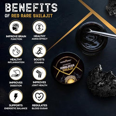 NutroTonic Shilajit resin closeup highlighting authentic mineral texture.