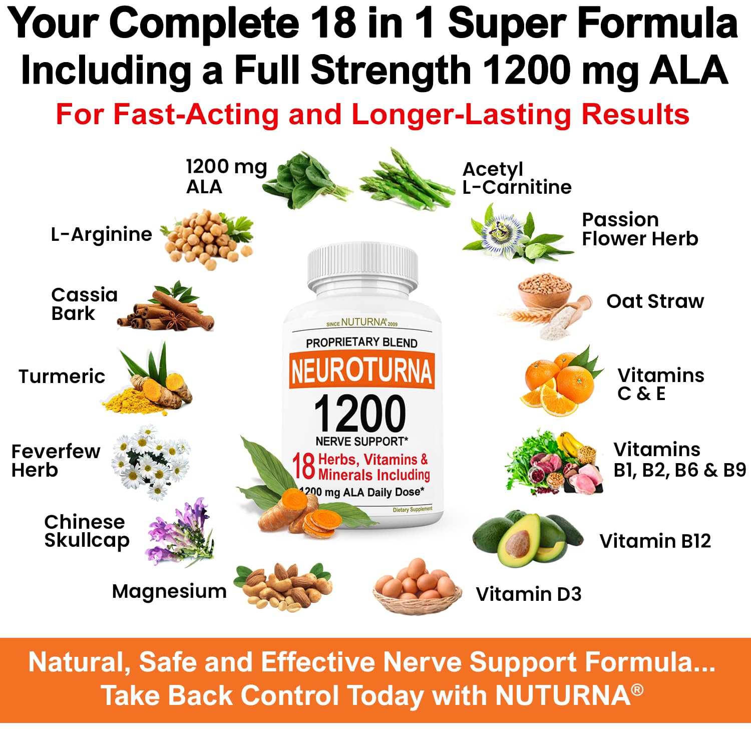 Nuturna Neuroturna ingredients graphic highlighting vitamins, minerals, and herbs.