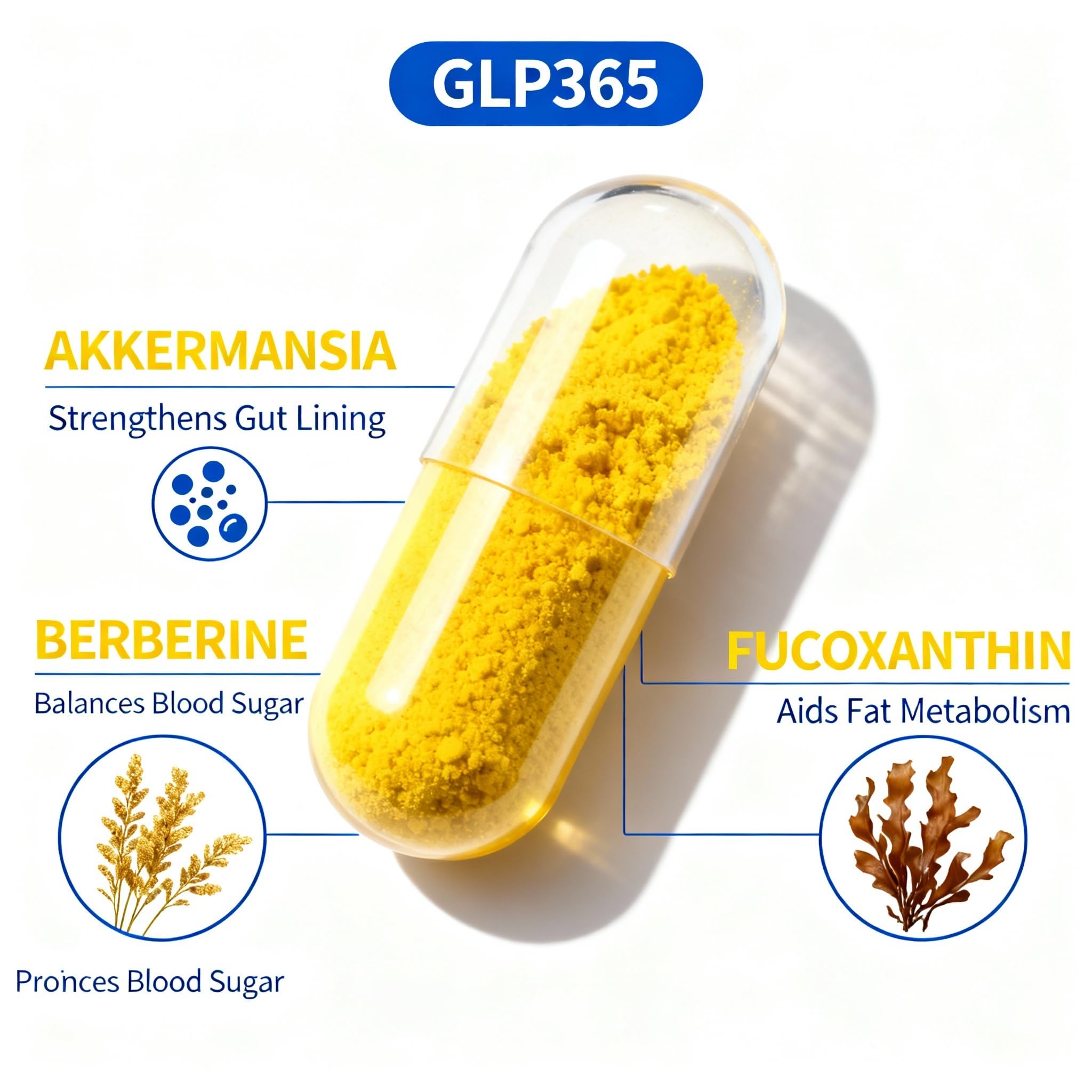 NUU3 GLP365 berberine focus for steady energy and balanced glucose response.