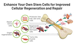 NuVi Global StemForte L-Carnosine visual hints at cellular energy support.