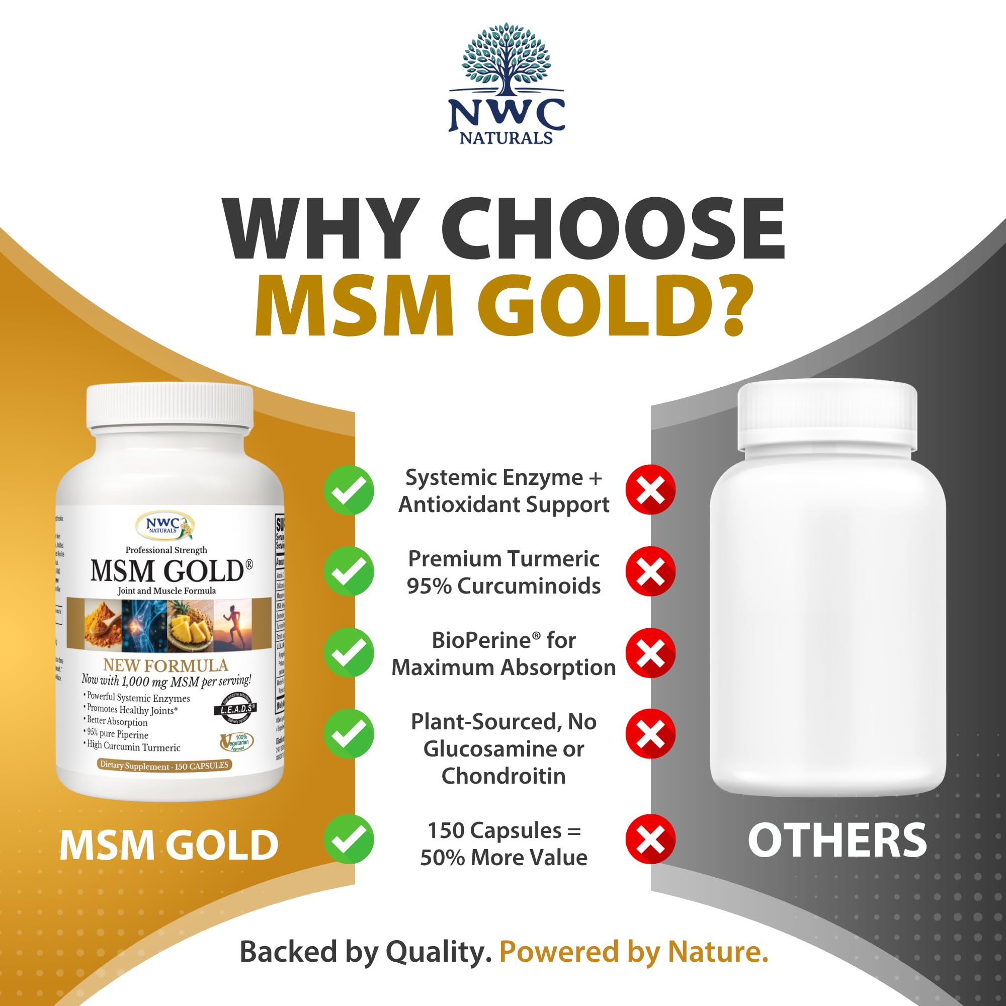 NWC Naturals MSM Gold lifestyle image showing active daily use.