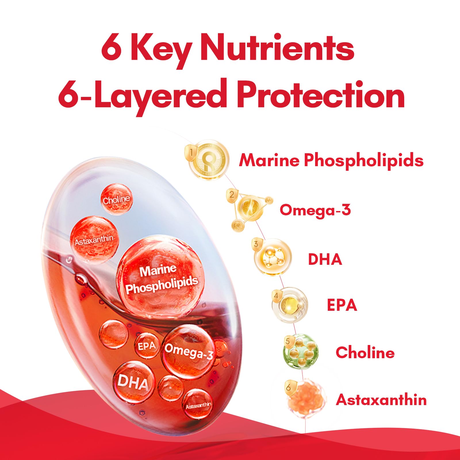 NYO3 Krill Oil choline boost illustration suggests brain-supportive nutrients.