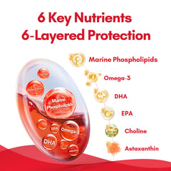 NYO3 Krill Oil choline boost illustration suggests brain-supportive nutrients.