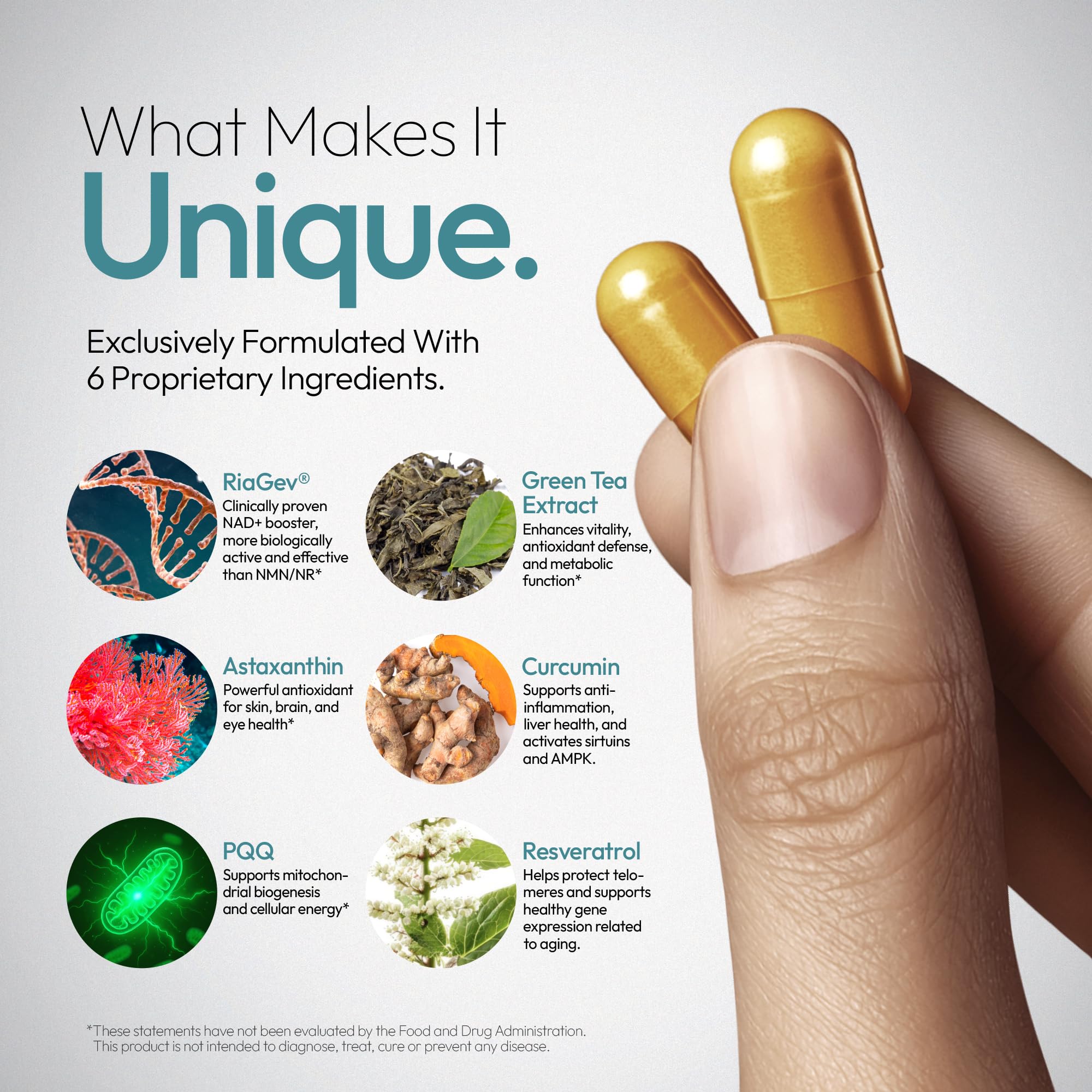Oblossom Forever Young NADPlus capsules for easy daily focus