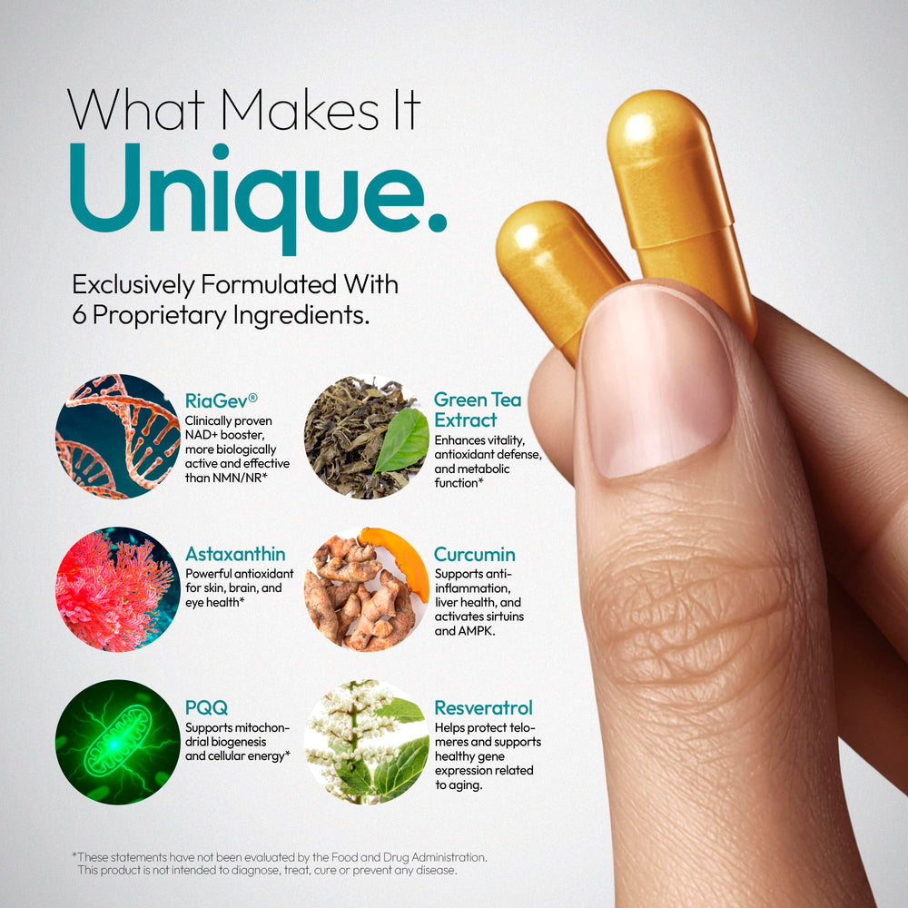 Oblossom Forever Young NADPlus capsules for easy daily focus