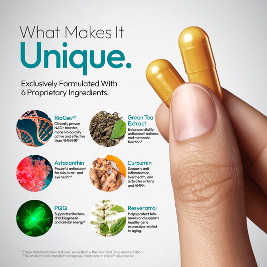 Oblossom Forever Young NADPlus capsules for easy daily focus