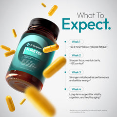 Oblossom Resveratrol ingredients close-up showing organic components