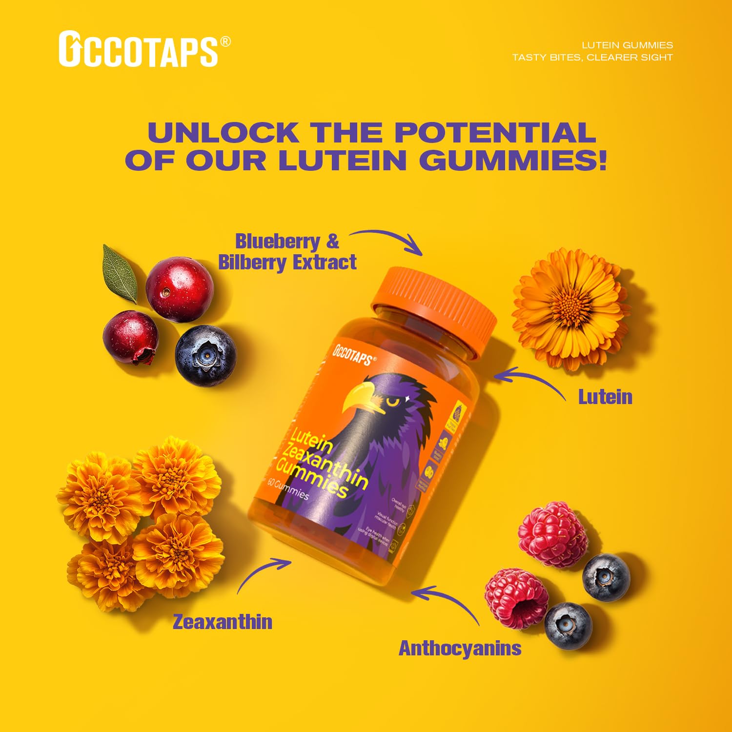 Occotaps bilberry extract label highlighting natural ingredients.