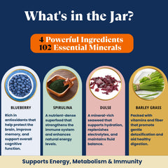Ocean's Balance Sea Moss Wellness Blend pouch rich in minerals