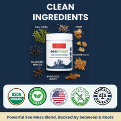Ocean's Balance Seacleanse+ detox pouch provides gentle balance