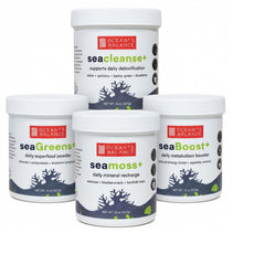 Ocean's Balance Seagreens+ daily superfood pouch for greens boost and energy