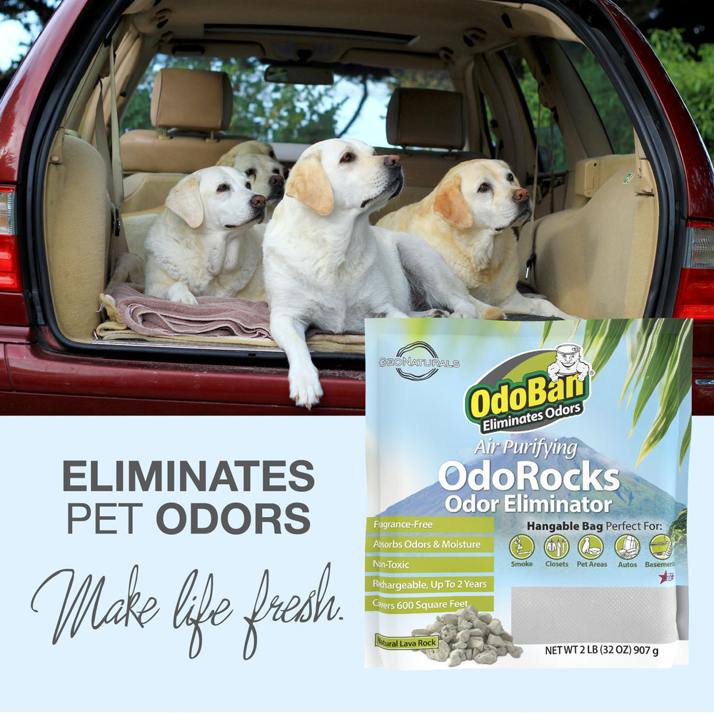 OdoRocks ideal for bathrooms and closets where moisture and odors meet.